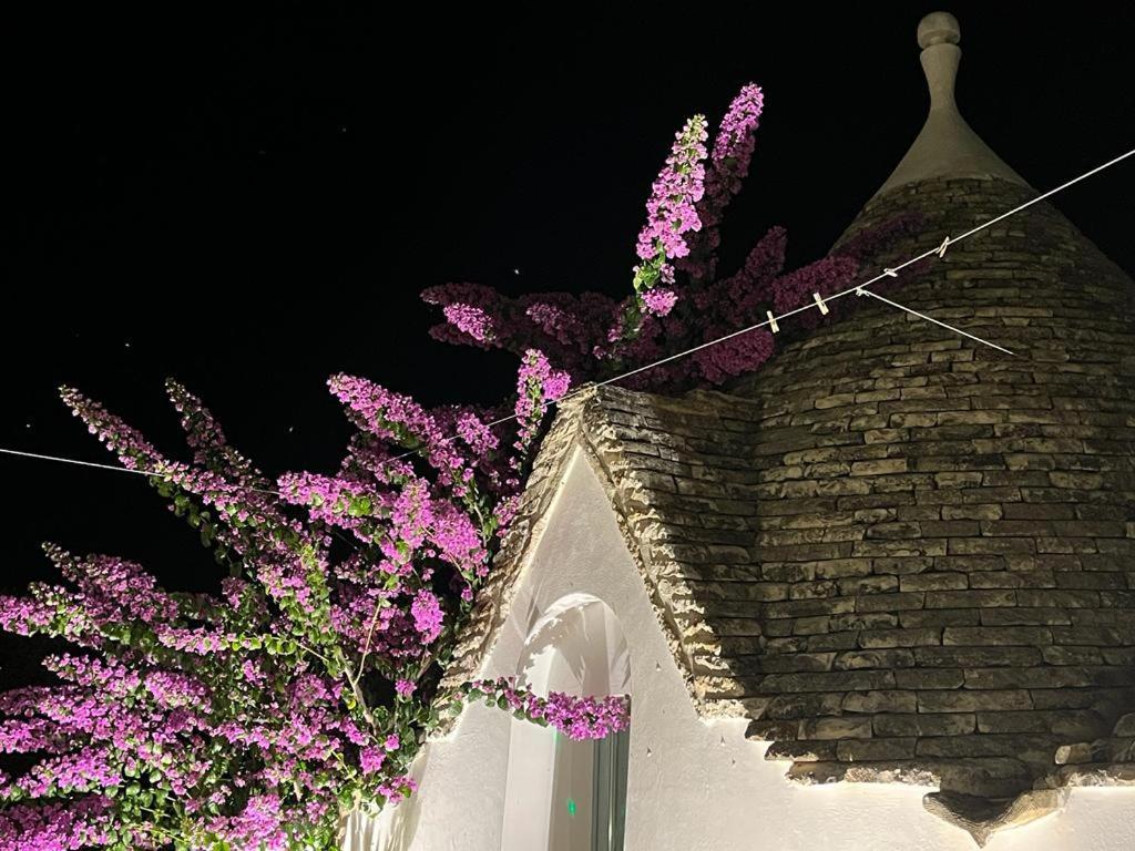 Trulli Harmonia Con Piscina - Альберобелло Экстерьер фото